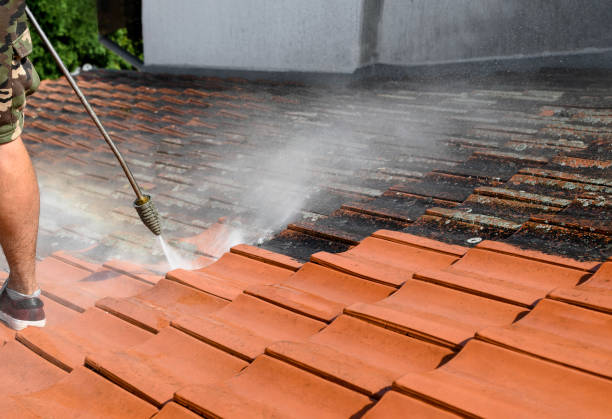 Best Affordable Power Washing  in St Ann, MO