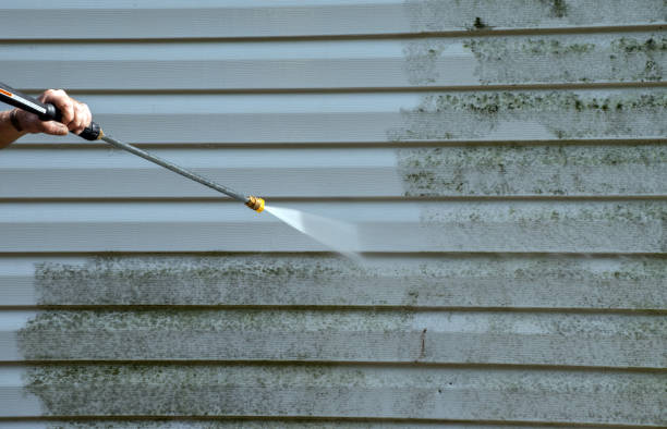 Best Deck Cleaning Services  in St Ann, MO