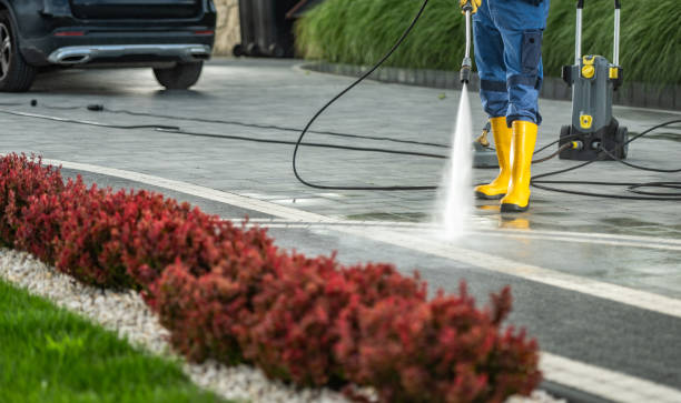 Best Roof Pressure Washing  in St Ann, MO